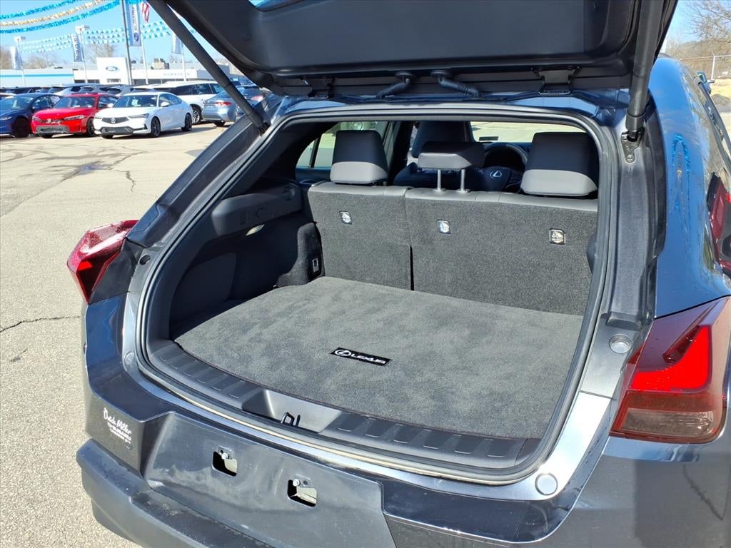 2025 Lexus UX 300h Premium