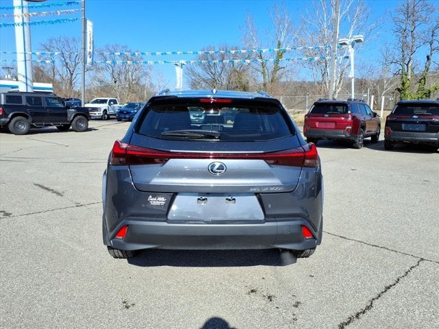 2025 Lexus UX 300h Premium
