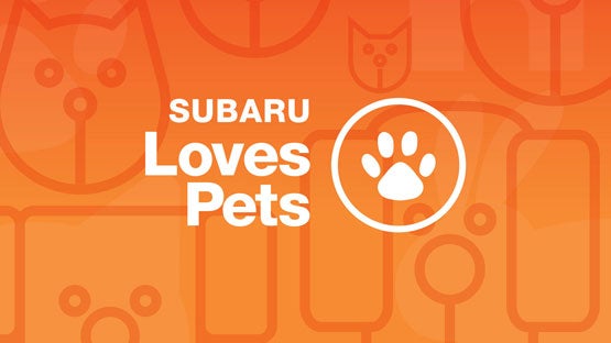 Dutch Miller Subaru in Charleston WV