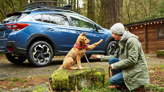 Dutch Miller Subaru in Charleston WV