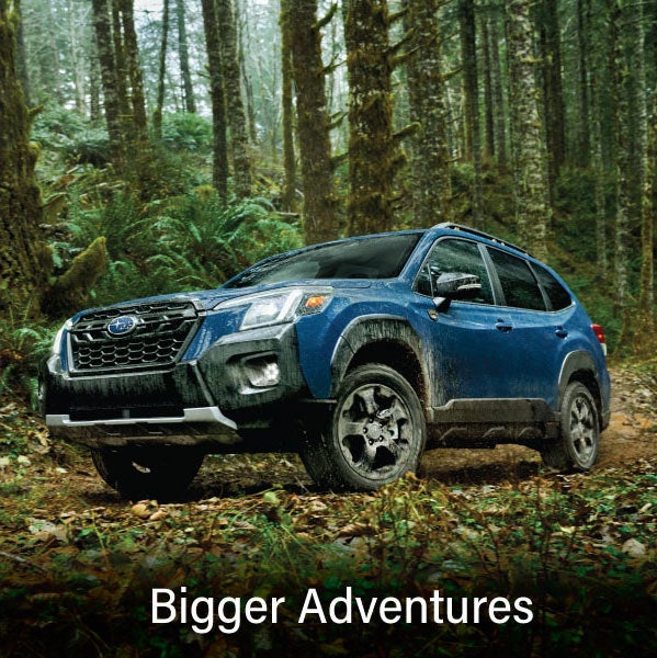A blue Subaru outback wilderness with the words &ldquo;Bigger Adventures&ldquo;. | Dutch Miller Subaru in Charleston WV